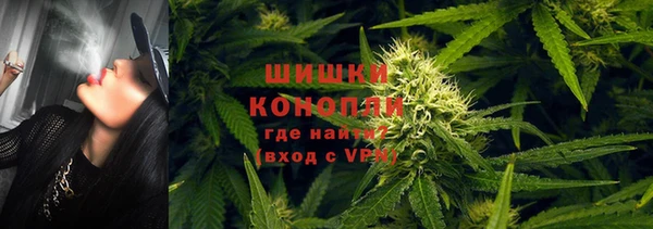 винт Богданович